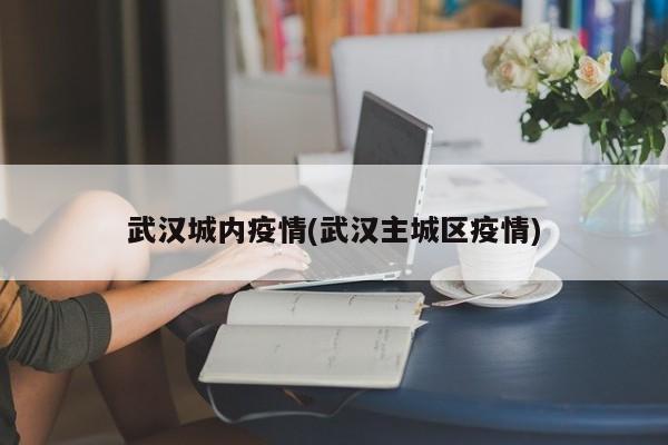 武汉城内疫情(武汉主城区疫情)