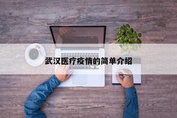 武汉医疗疫情的简单介绍