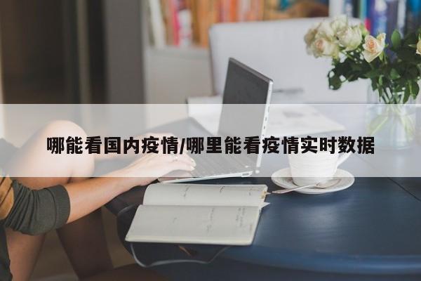 哪能看国内疫情/哪里能看疫情实时数据