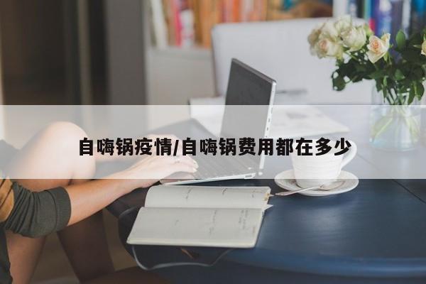 自嗨锅疫情/自嗨锅费用都在多少